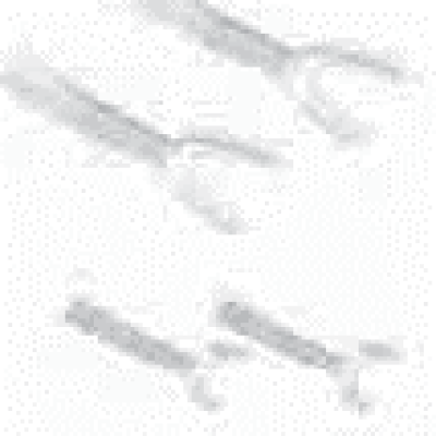 Photographic Cheek Retractor