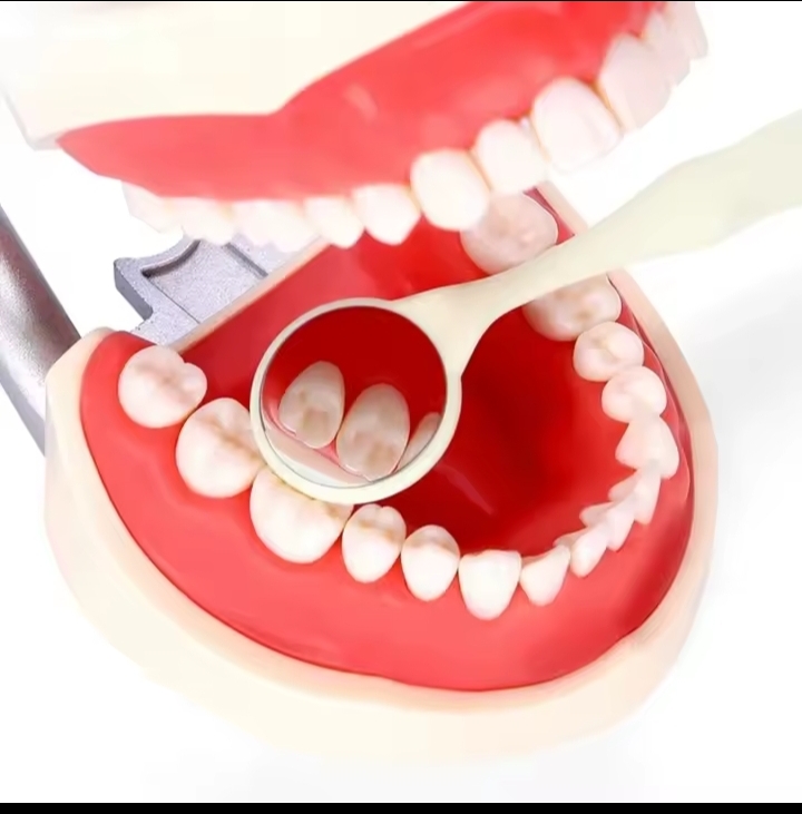 Mouth Mirrors Surface